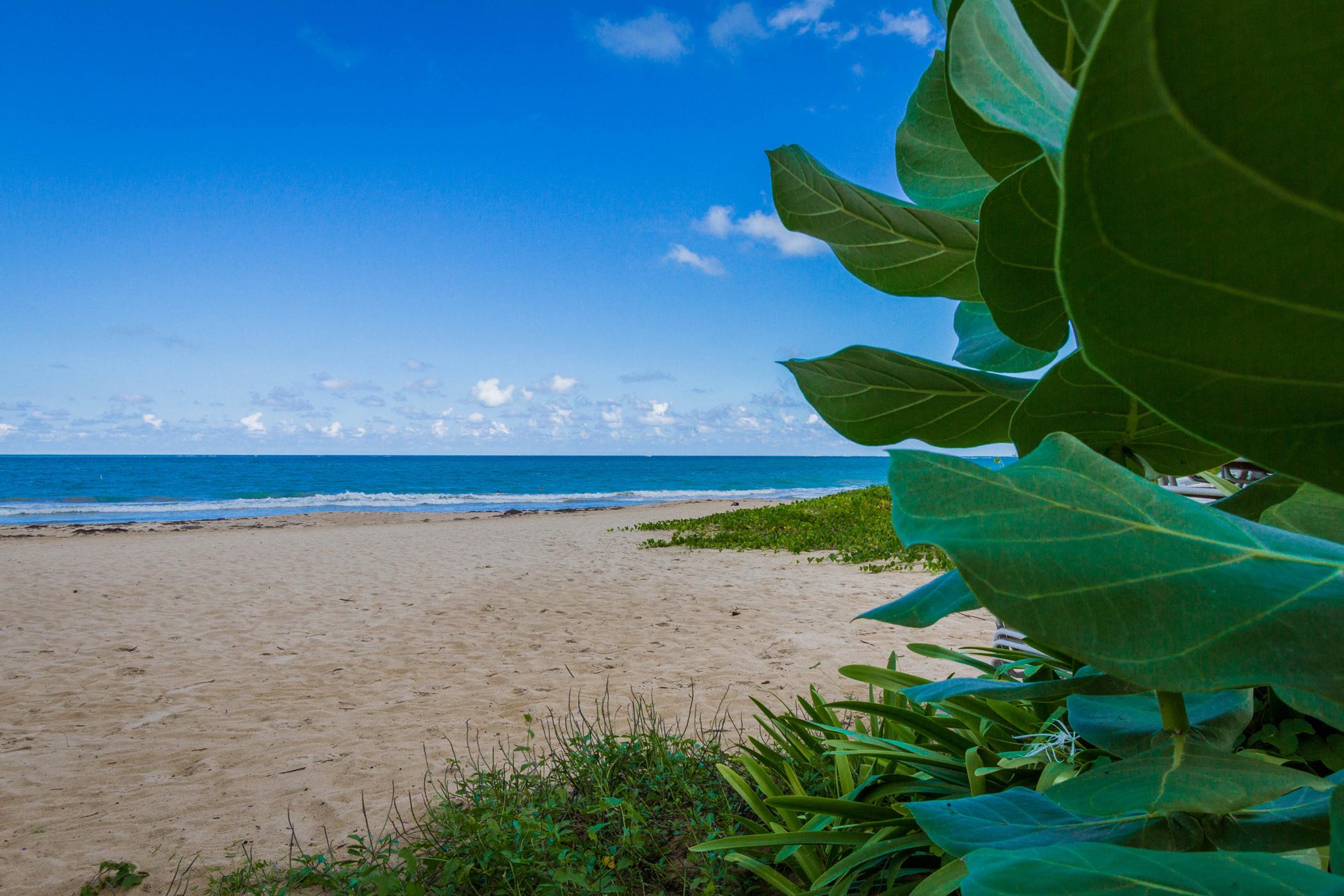 Tryp By Wyndham Isla Verde San Juan Extérieur photo